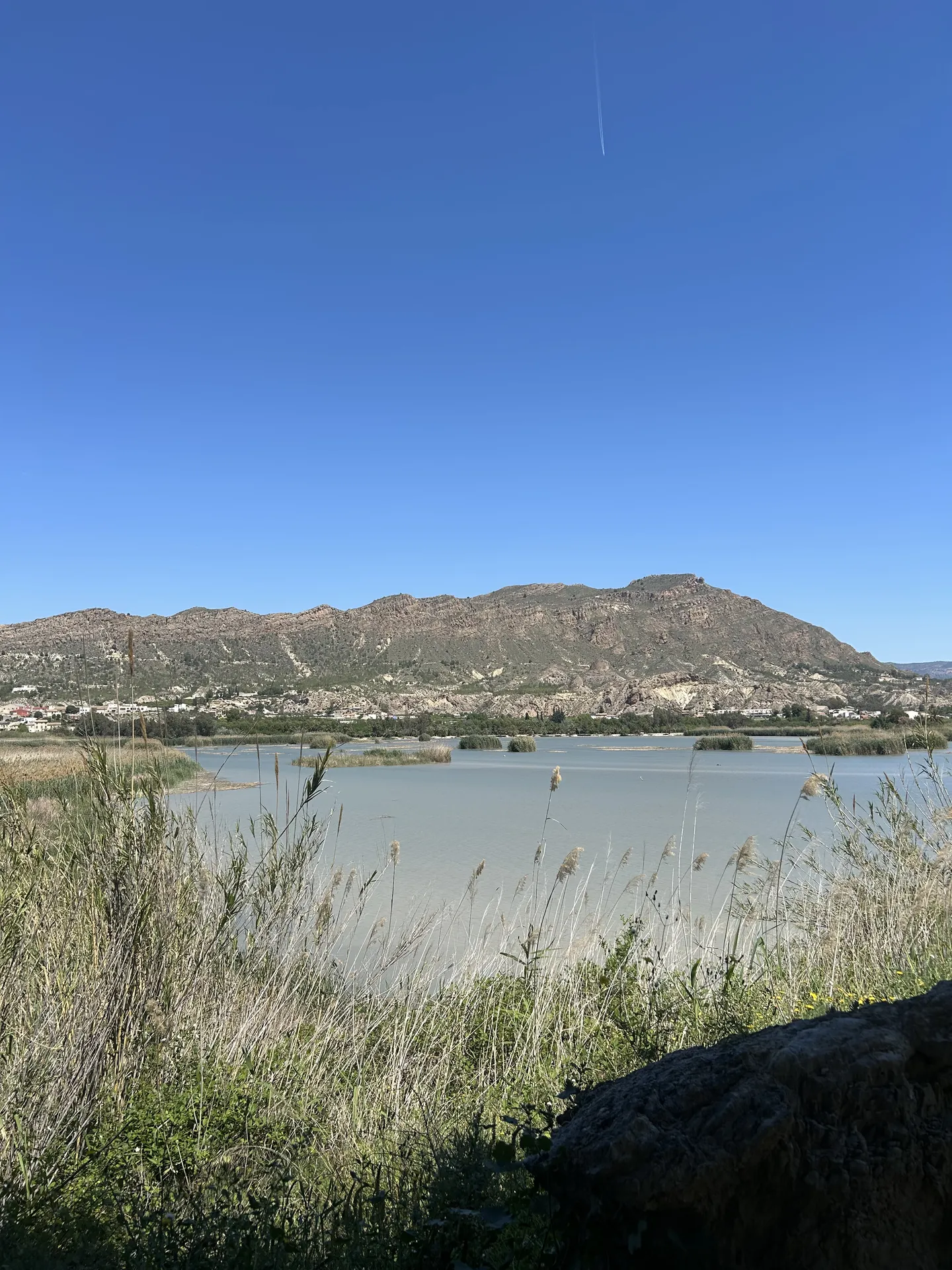 Río Segura a su paso por Archena