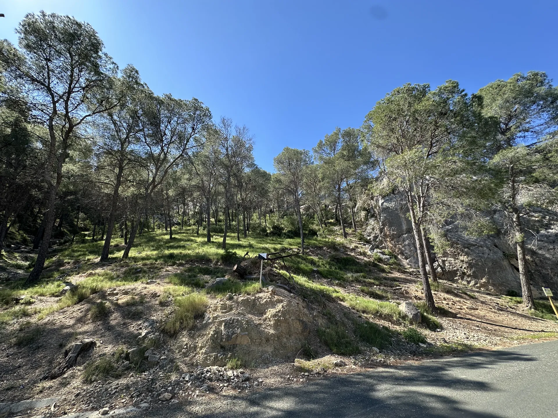 Las vistas de la ruta