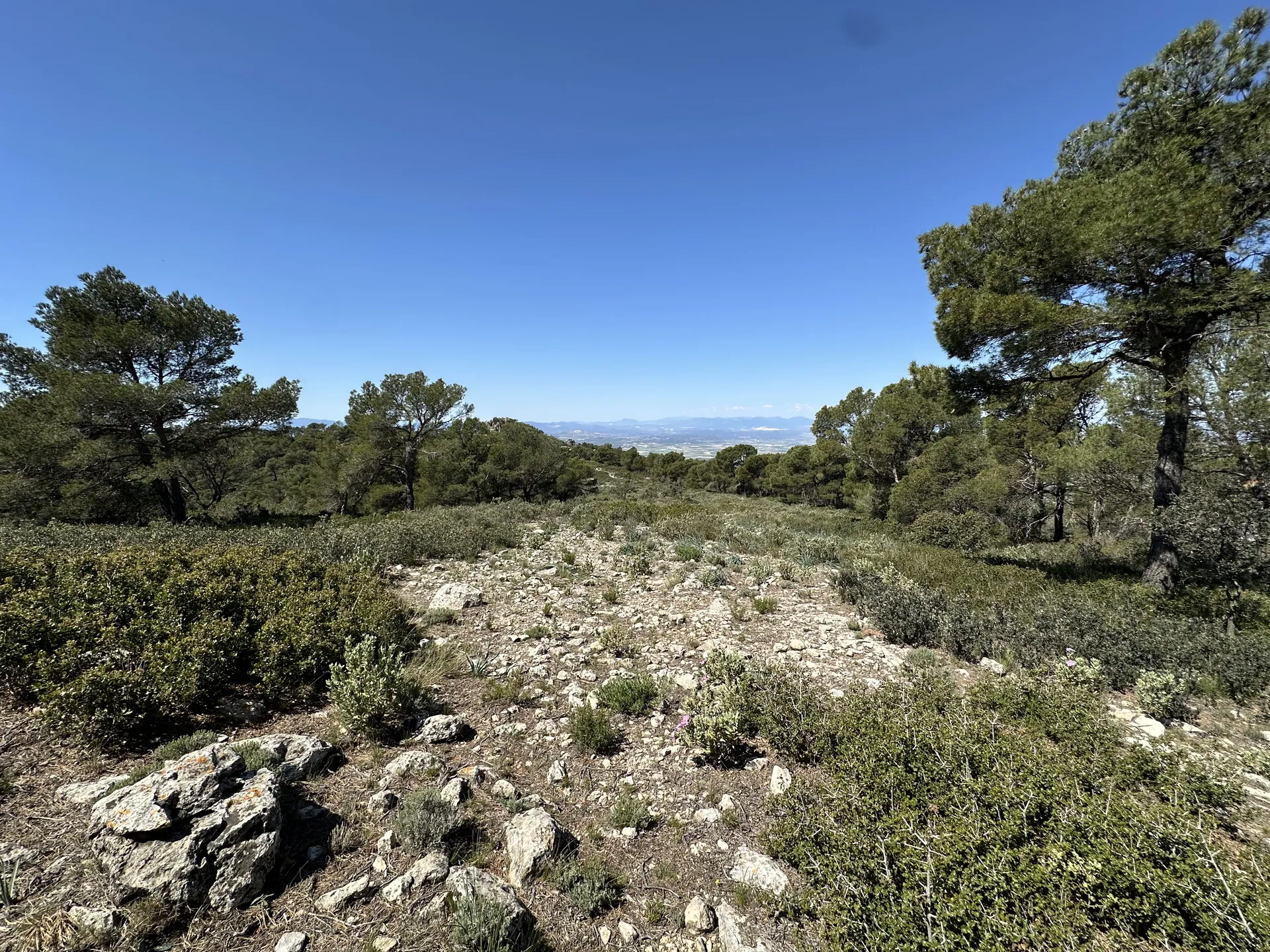 Valle de Ricote